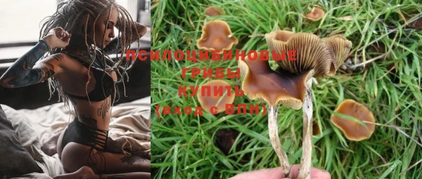 МДПВ Ладушкин