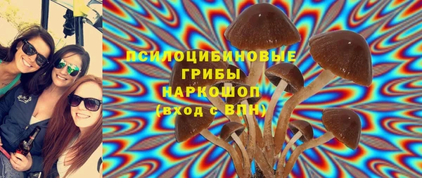 МДПВ Лихославль