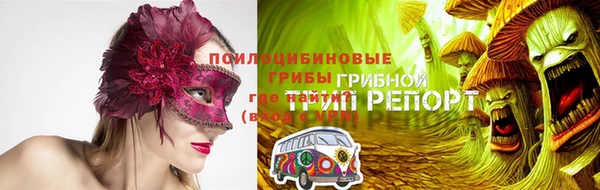 МДПВ Ладушкин