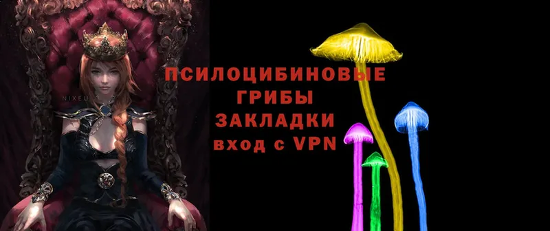 Псилоцибиновые грибы GOLDEN TEACHER  Нестеров 